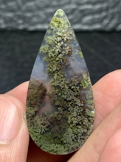 Scenic Moss Agate Teardrop Cabochon 40x19x6mm