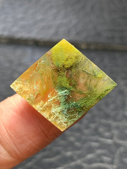 Scenic Moss Agate Rhombus Cabochon 23.5x20x4.5mm