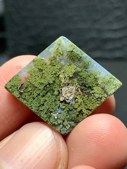 Scenic Moss Agate Rhombus Cabochon 25.5x21.5x3.5mm