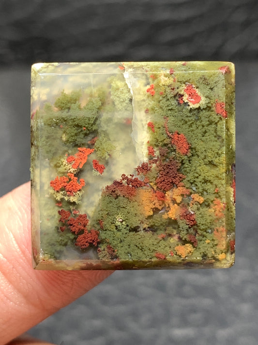 Scenic Moss Agate Square Cabochon 23x23x4.7mm