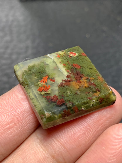 Scenic Moss Agate Square Cabochon 23x23x4.7mm