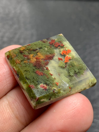 Scenic Moss Agate Square Cabochon 23x23x4.7mm