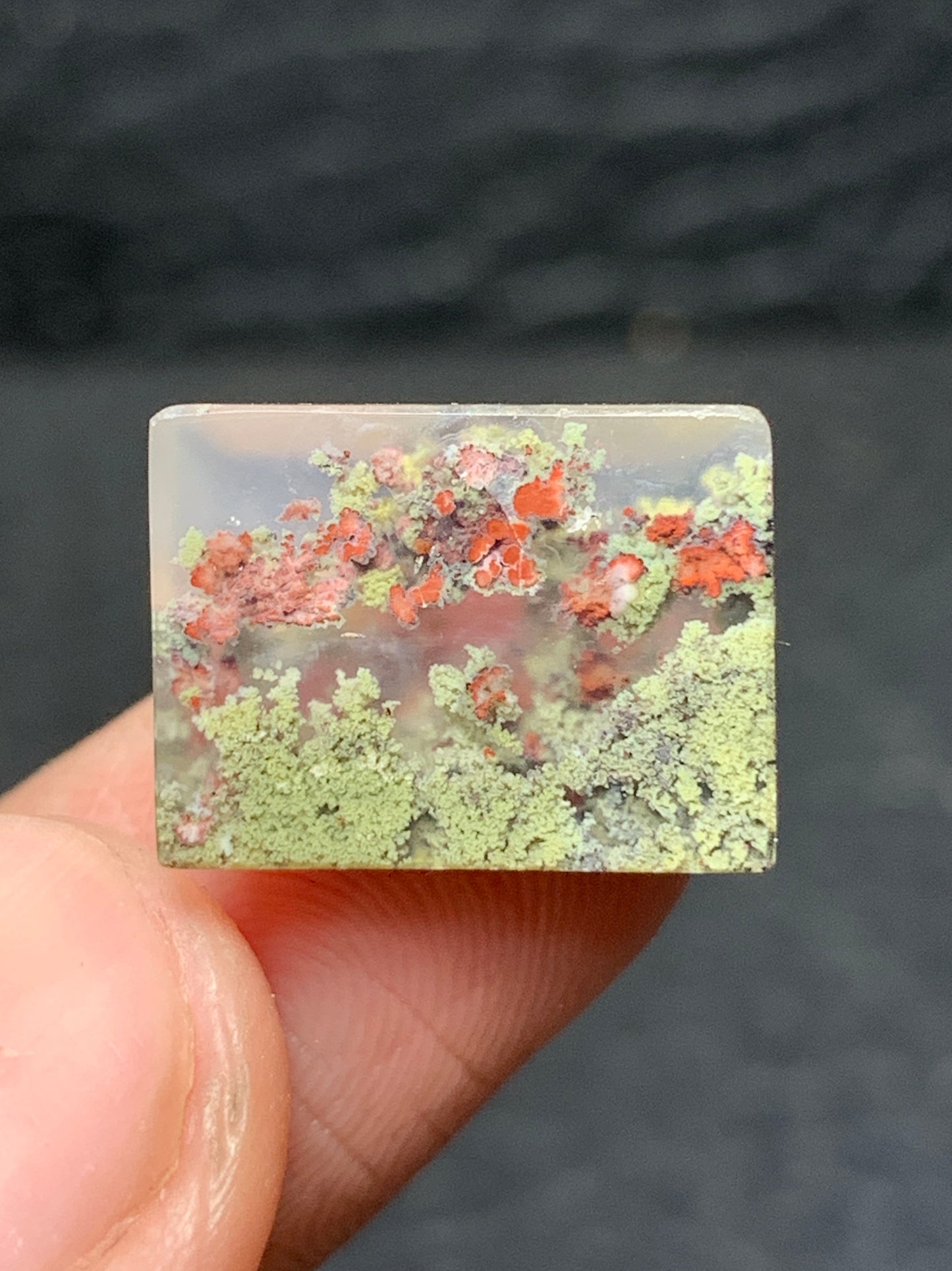 Tiny Scenic Moss Agate Rectangle Cabochon 15x11x4mm