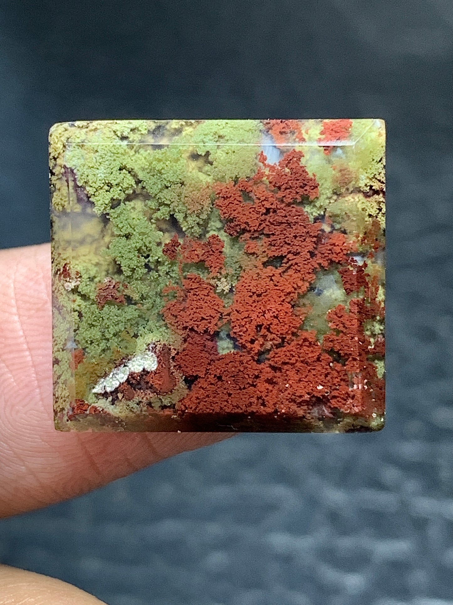 Scenic Moss Agate Rectangle Cabochon 18x17x3mm