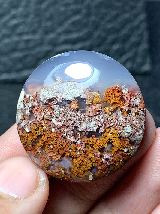 Scenic Moss Agate Round Cabochon 28.5x28.5x7.5mm