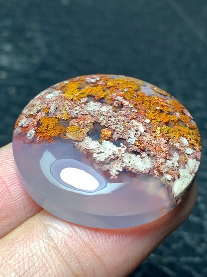 Scenic Moss Agate Round Cabochon 28.5x28.5x7.5mm