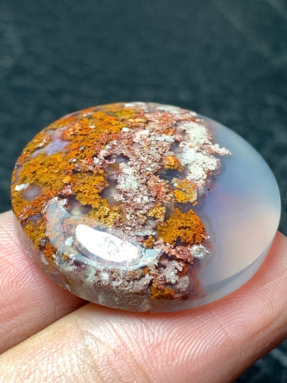 Scenic Moss Agate Round Cabochon 28.5x28.5x7.5mm