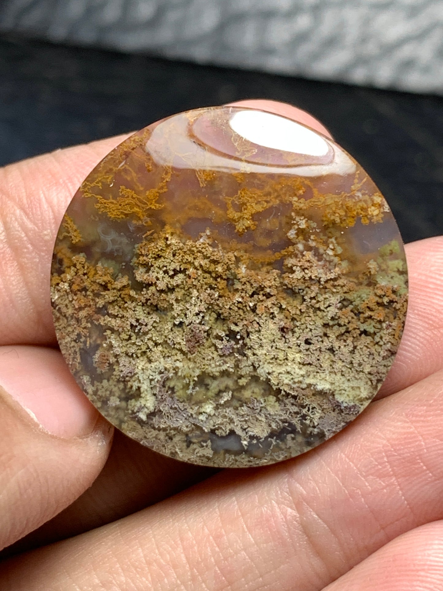 Unique Moss Agate Round Cabochon 27x27x7mm