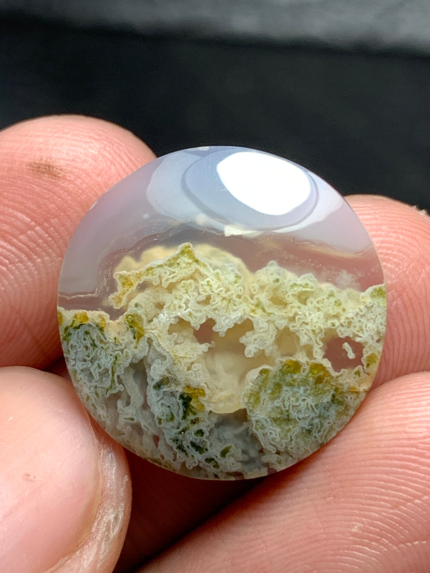 Scenic Moss Agate Round Cabochon 18.5x18.5x5mm