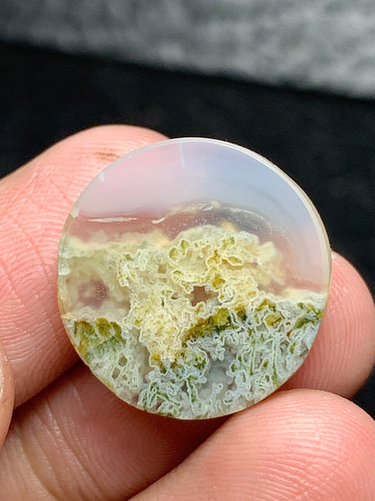 Scenic Moss Agate Round Cabochon 18.5x18.5x5mm