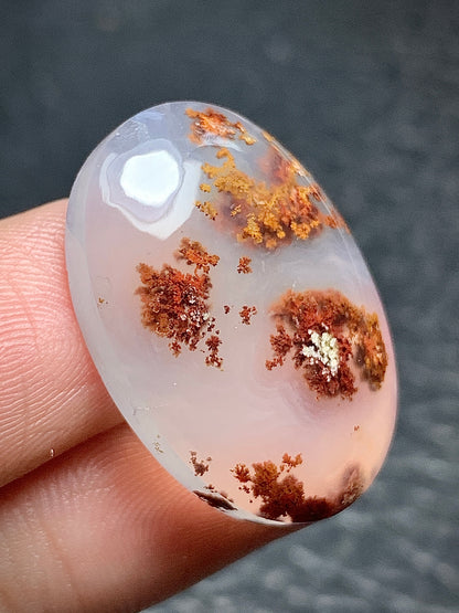 Scenic Moss Agate Oval Cabochon 25.5x18.5x6mm