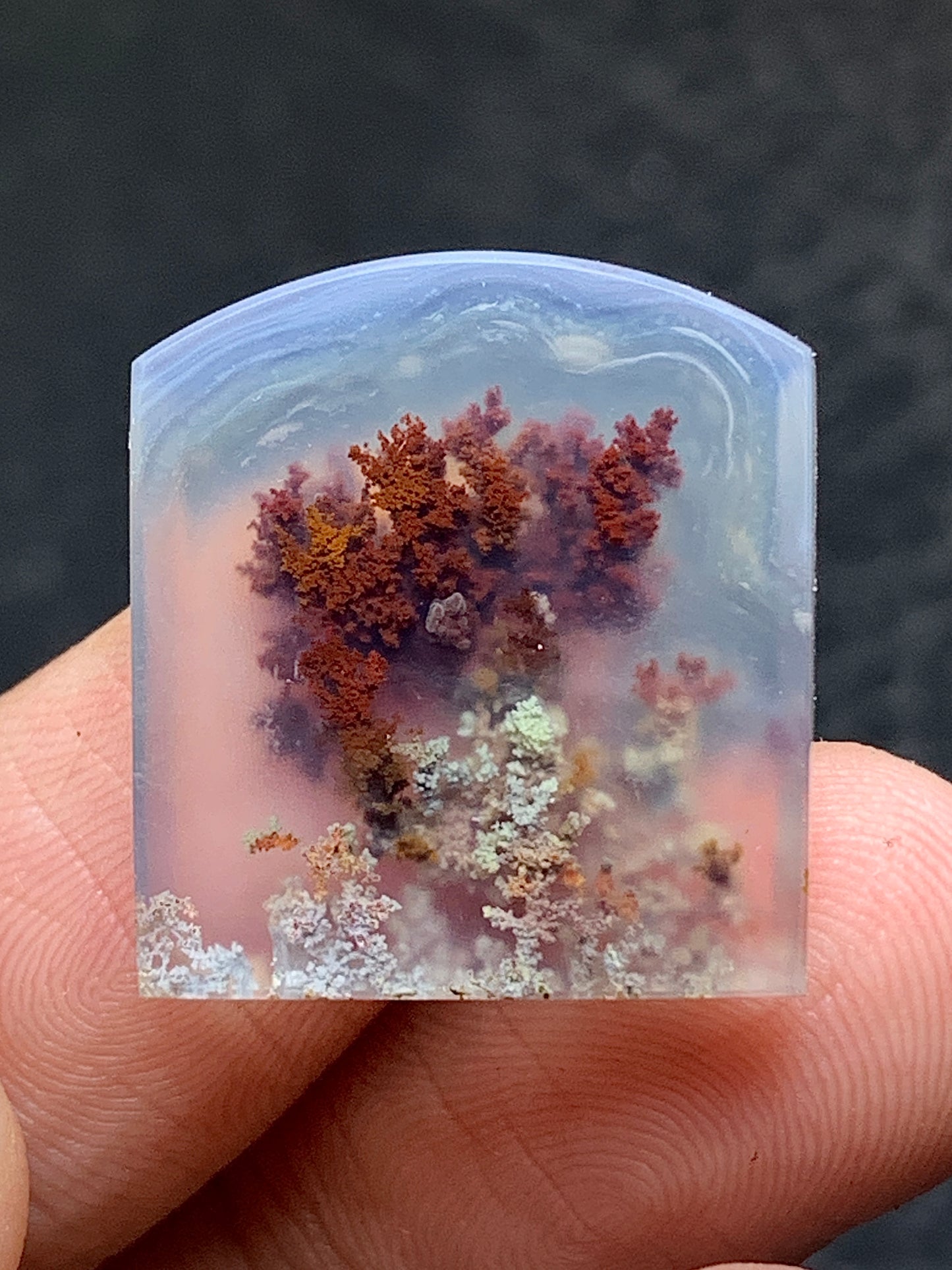 Scenic Moss Agate Fanshape Cabochon 20x18.5x4mm