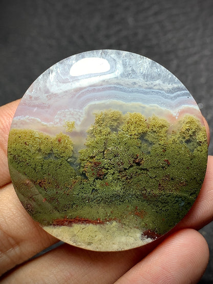 Landscape Moss Agate Round Cabochon 40.2x40.2x8 mm