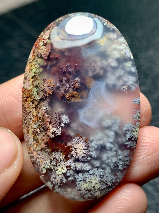 Scenic Moss Agate Oval Cabochon 46x29.5x7mm with Underwater Landscape Patterns