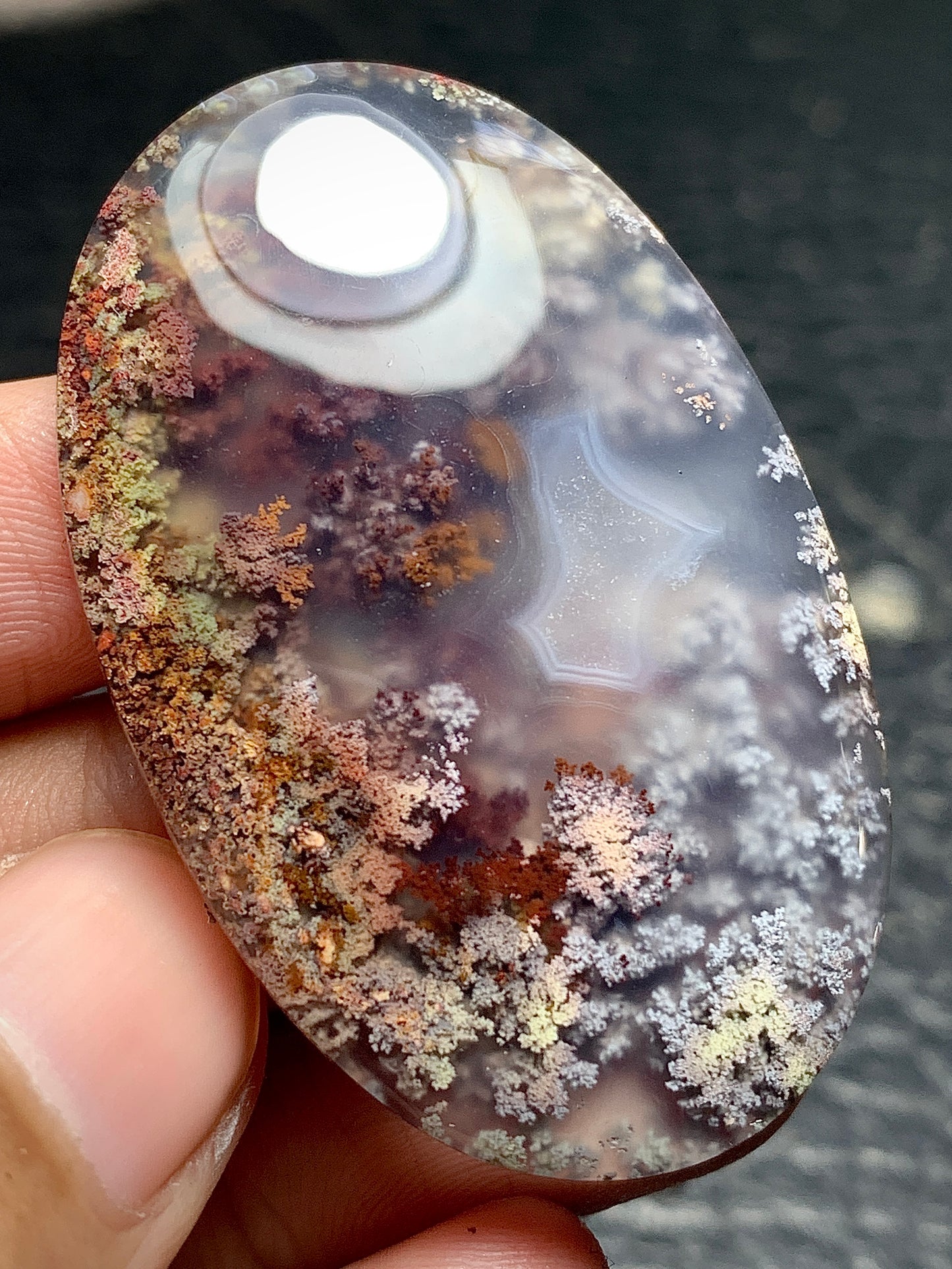 Scenic Moss Agate Oval Cabochon 46x29.5x7mm with Underwater Landscape Patterns