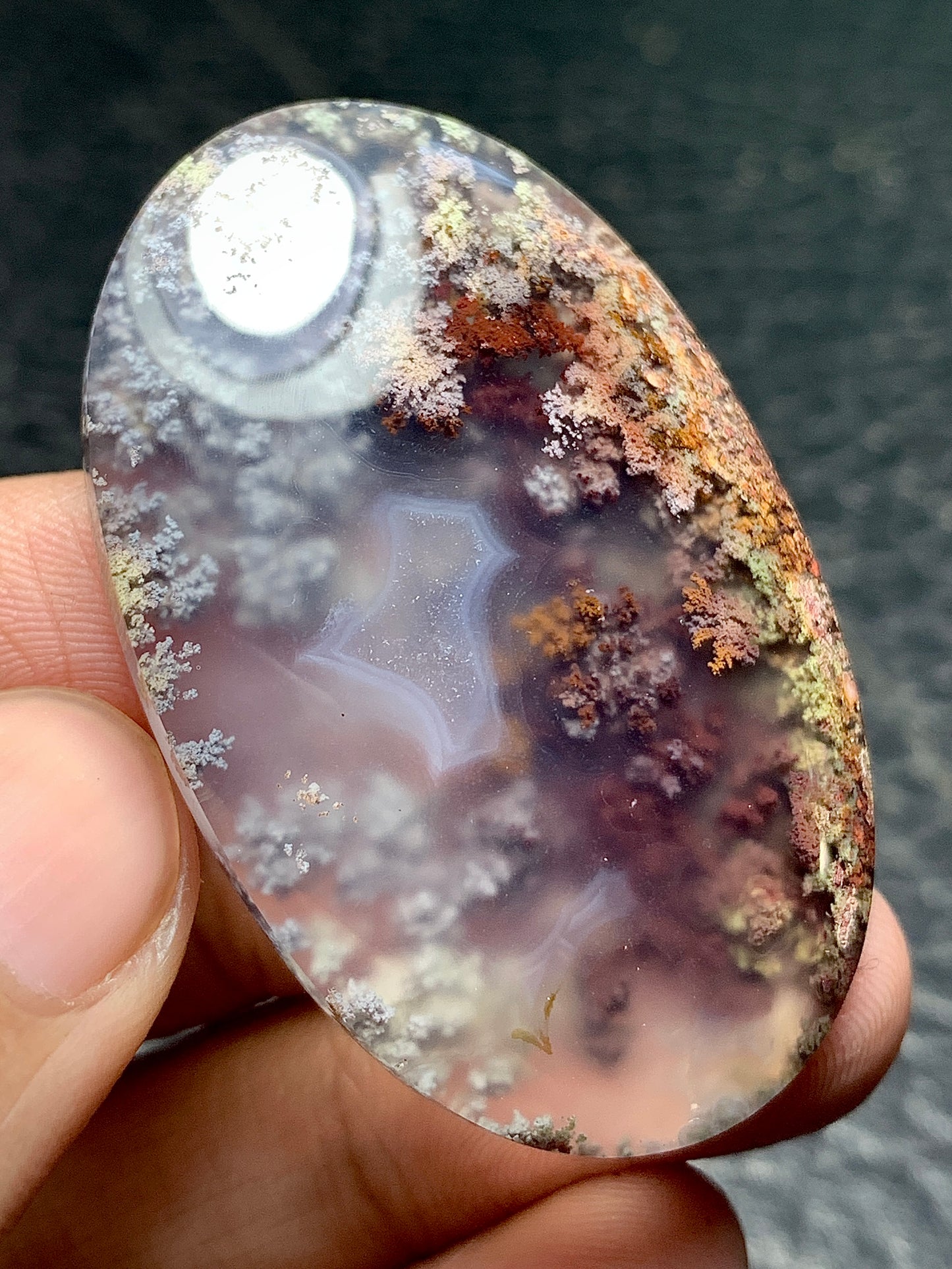 Scenic Moss Agate Oval Cabochon 46x29.5x7mm with Underwater Landscape Patterns