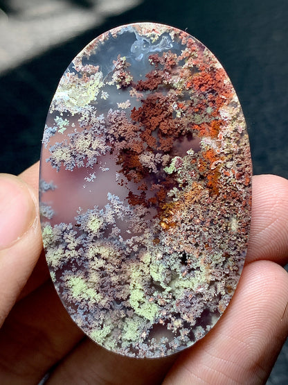 Scenic Moss Agate Oval Cabochon 46x29.5x7mm with Underwater Landscape Patterns