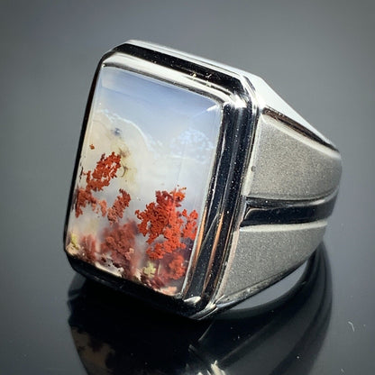 Scenic Moss Agate Rings 19x15x7mm, 9,5 USA/Canada