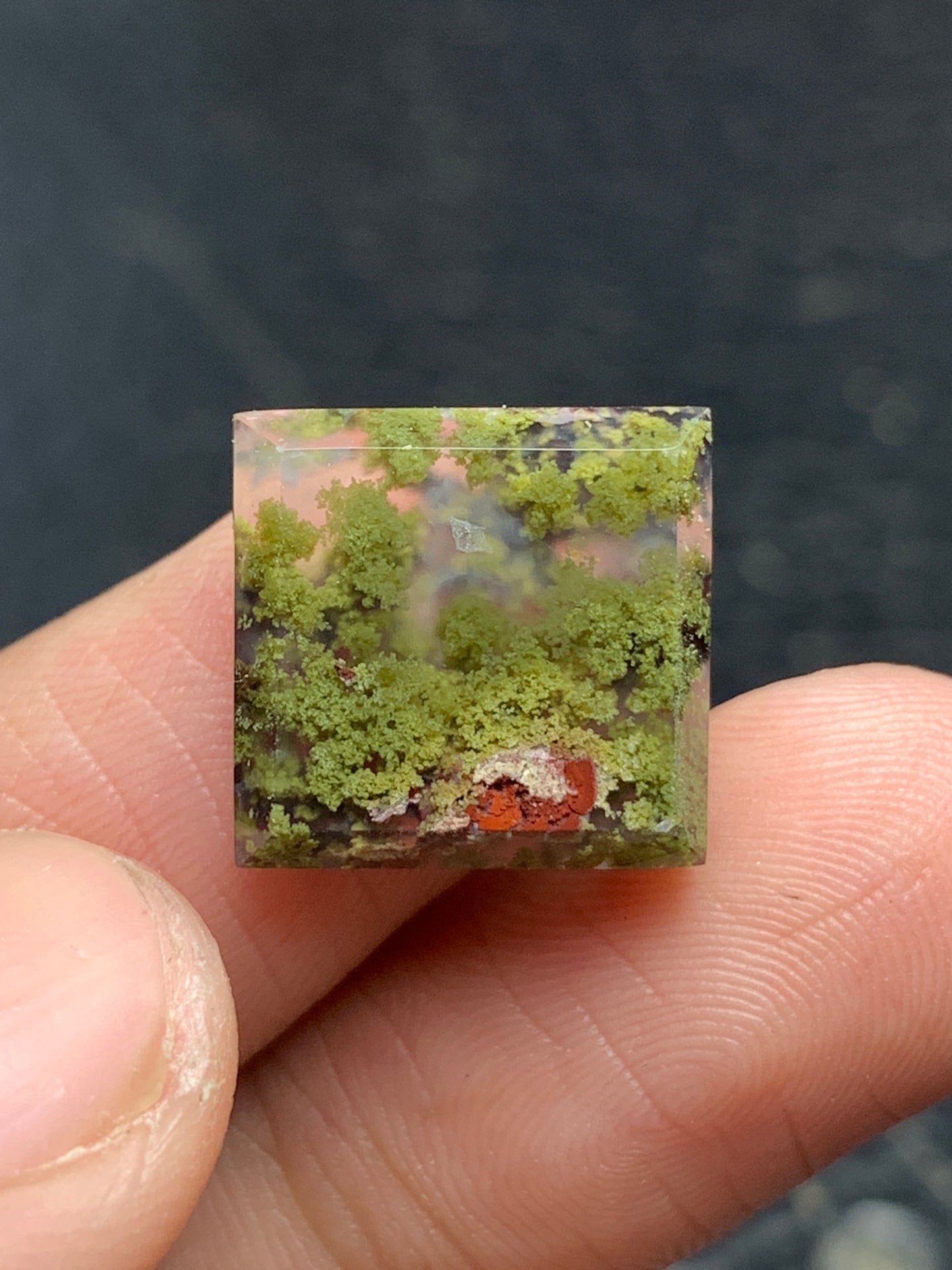 Moss Agate Square Cabochon 14x13.5x4mm