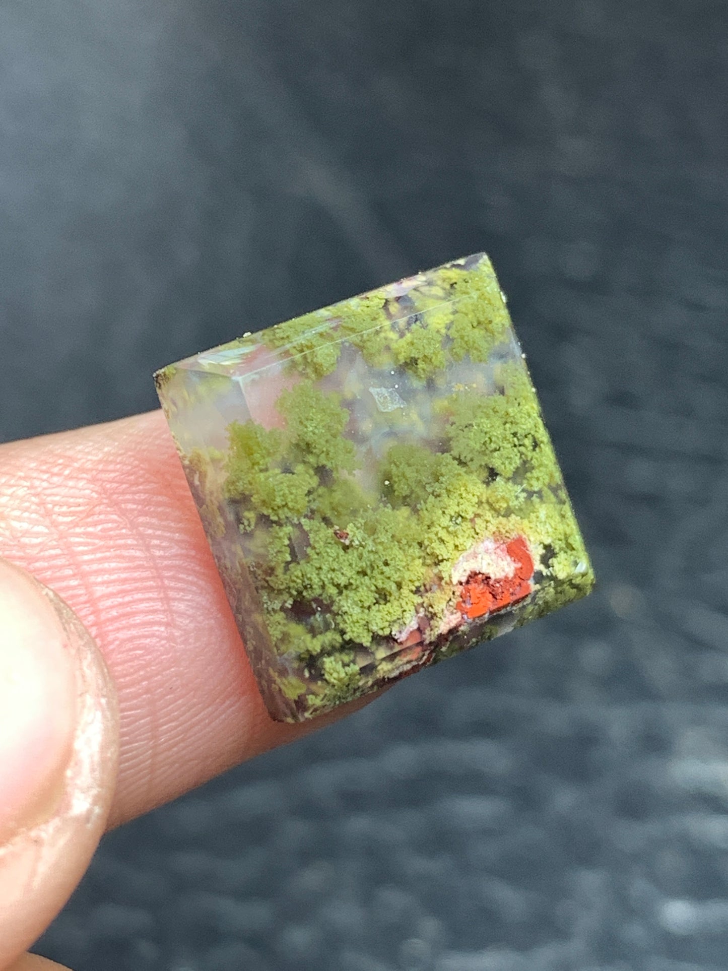 Moss Agate Square Cabochon 14x13.5x4mm