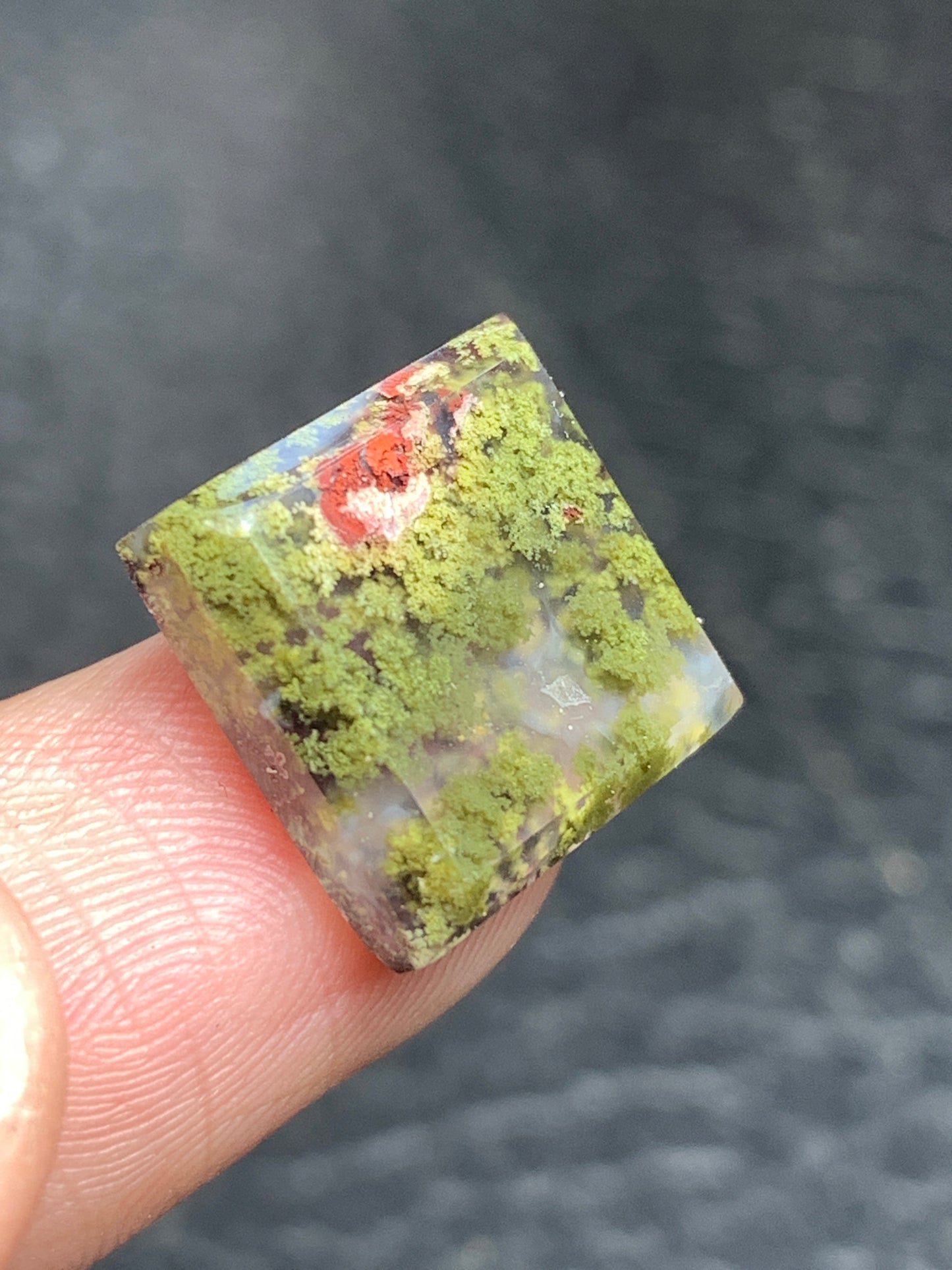 Moss Agate Square Cabochon 14x13.5x4mm