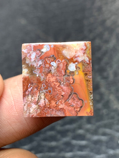 Tiny Moss Agate Square Cabochon 16x15x4mm