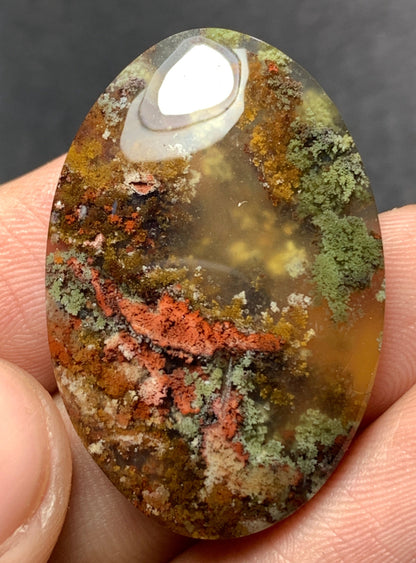 Multicolor Moss Agate Oval Cabochon 32x21x6mm