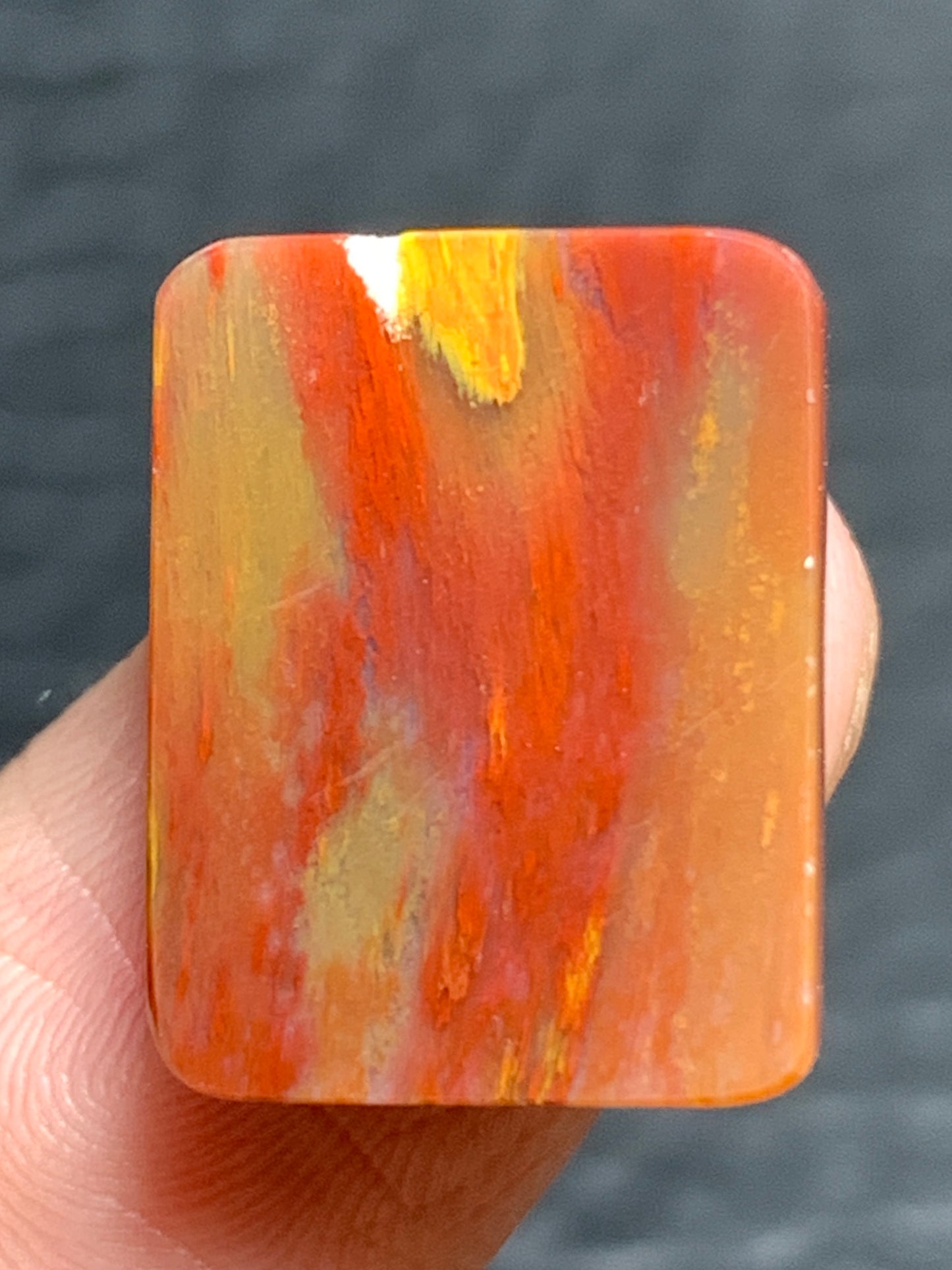 Petrified Palmwood Rectangle Cabochon 16x12.5x3.8mm