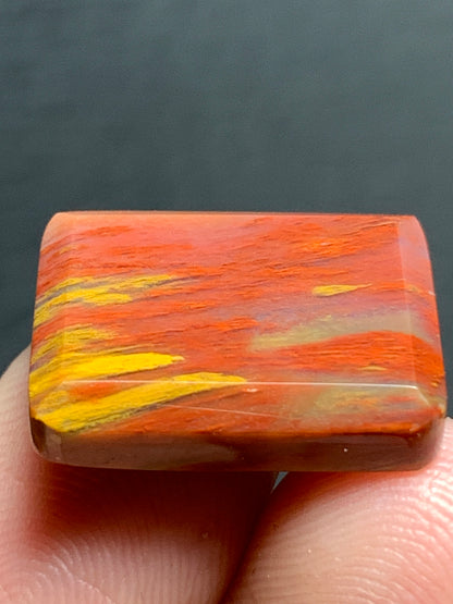 Petrified Palmwood Rectangle Cabochon 16x12.5x3.8mm