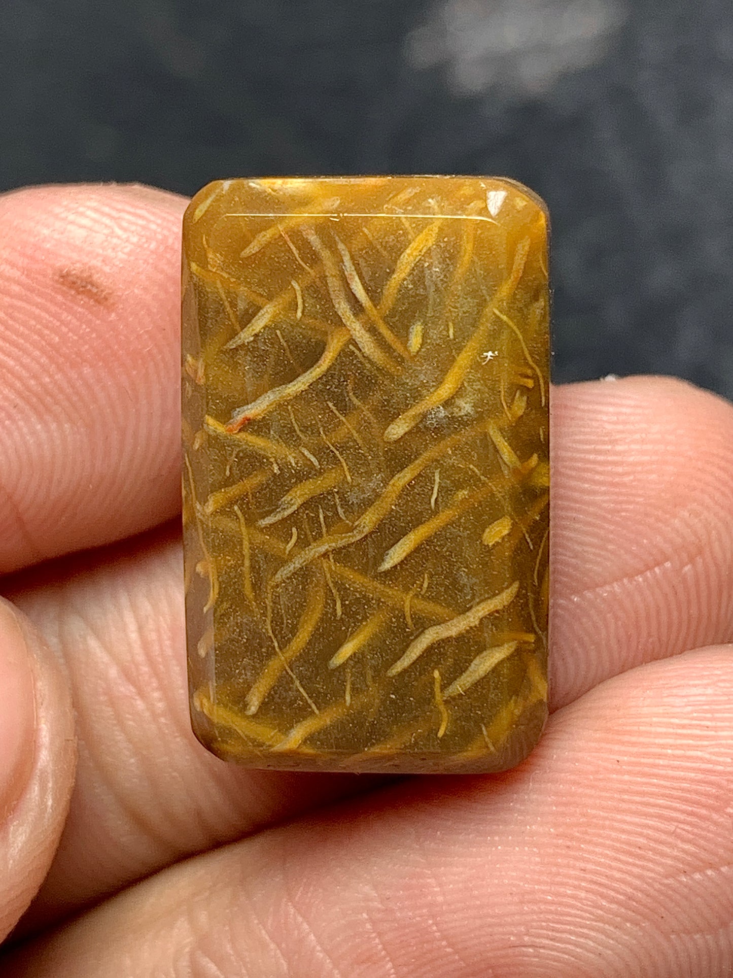 Petrified Palm Wood Rectangle Cabochon 20x13x6mm