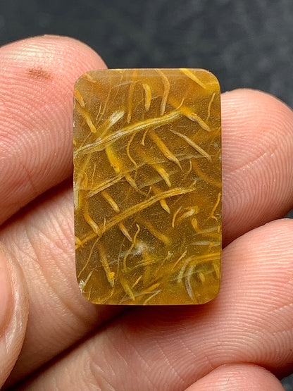 Petrified Palm Wood Rectangle Cabochon 20x13x6mm