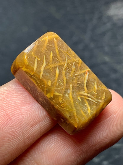 Petrified Palm Wood Rectangle Cabochon 20x13x6mm