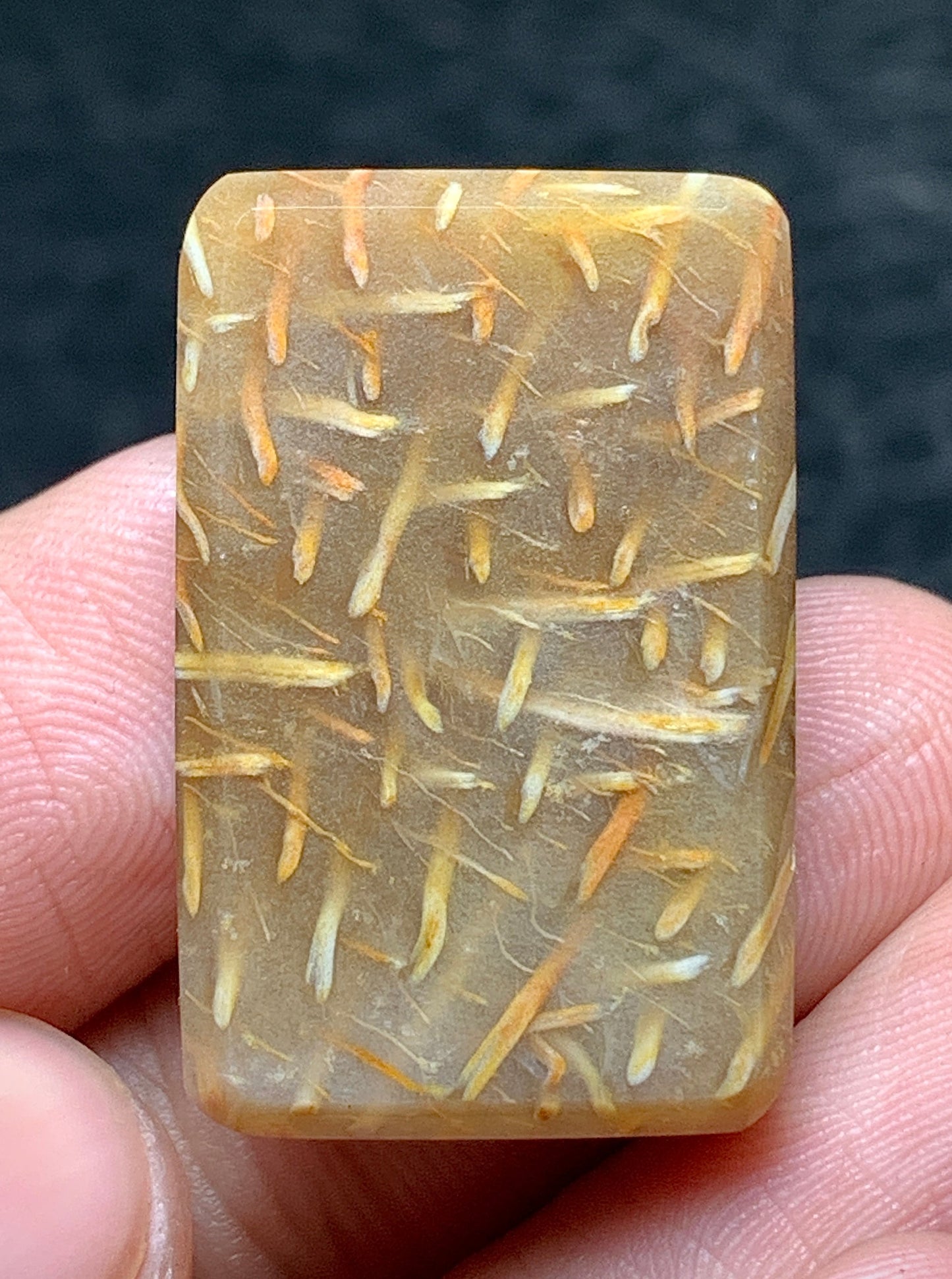 Petrified Palm Wood Rectangle Cabochon 26x17x6mm