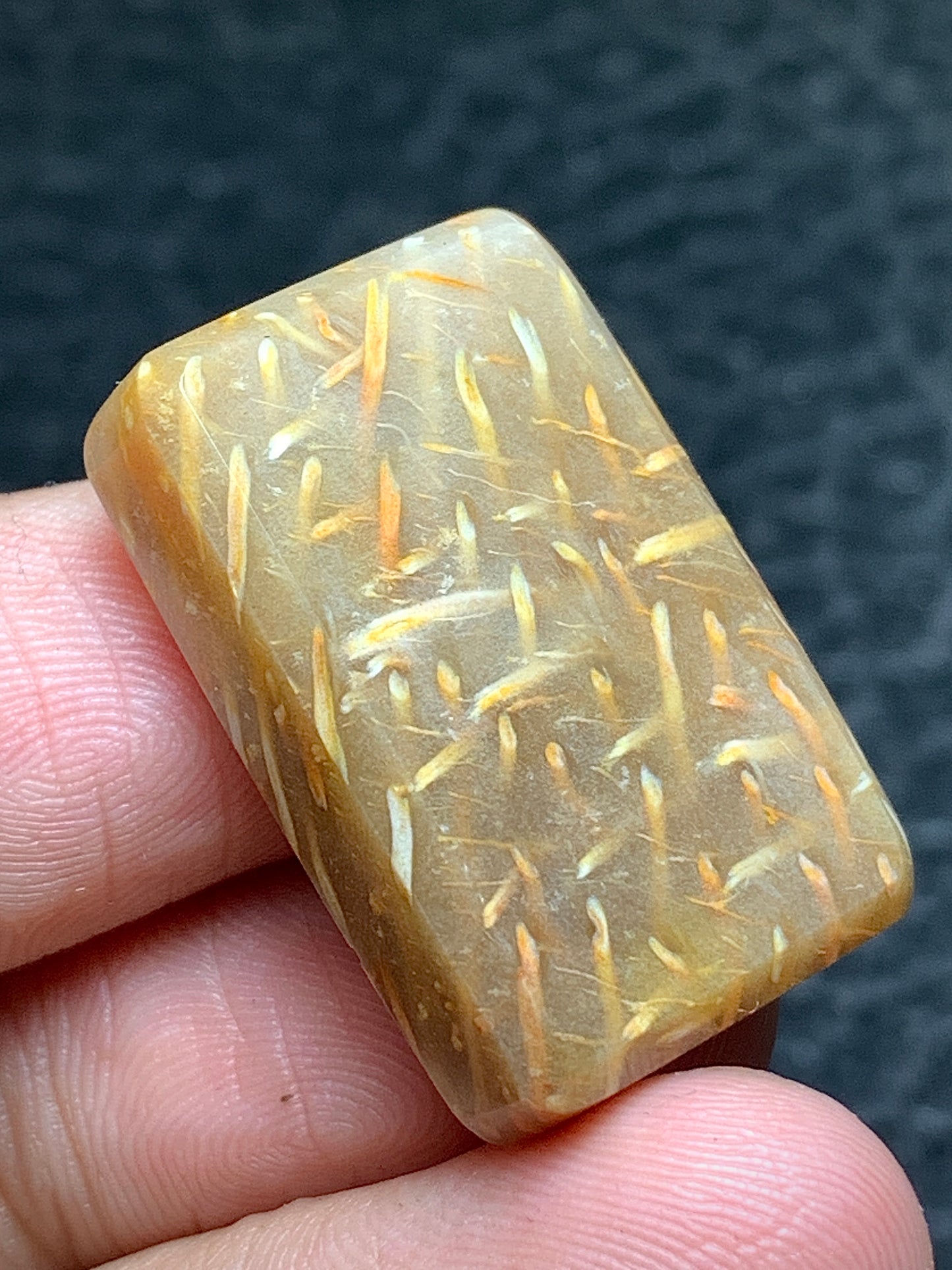 Petrified Palm Wood Rectangle Cabochon 26x17x6mm