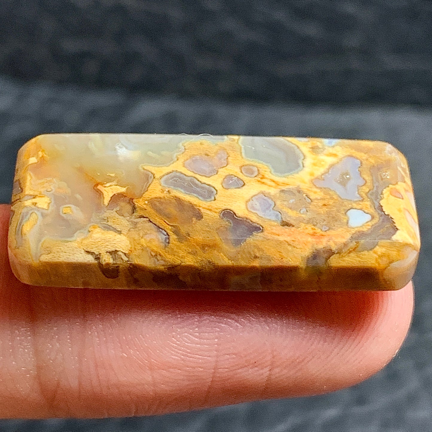 Petrified Palmroot with Pocket Fortification Rectangle Cabochon 28x12x4.5mm