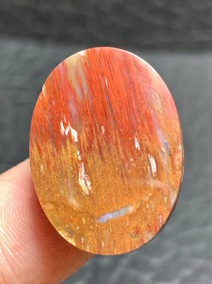 Petrified Palmwood Oval Cabochon 23x17x6mm