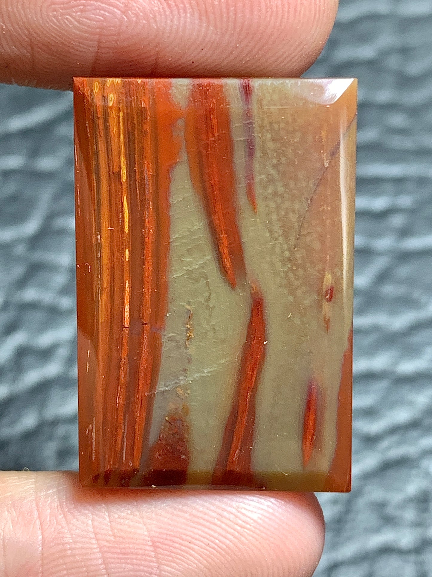 Petrified Palmwood Rectangle Cabochon 21.7x18x4mm