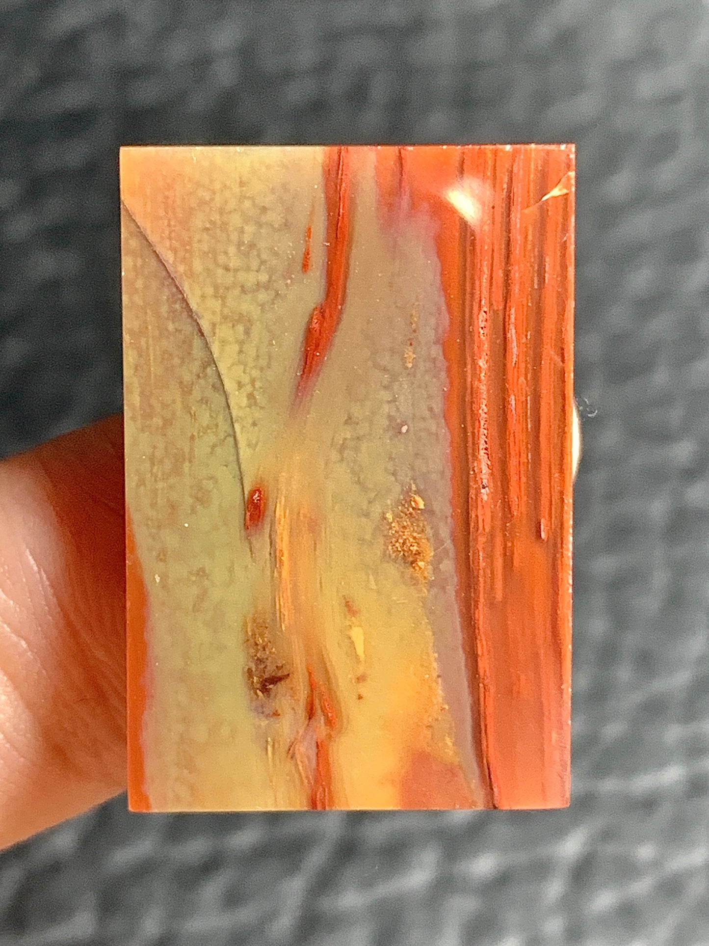 Petrified Palmwood Rectangle Cabochon 21.7x18x4mm