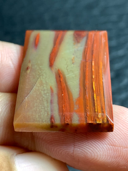 Petrified Palmwood Rectangle Cabochon 21.7x18x4mm