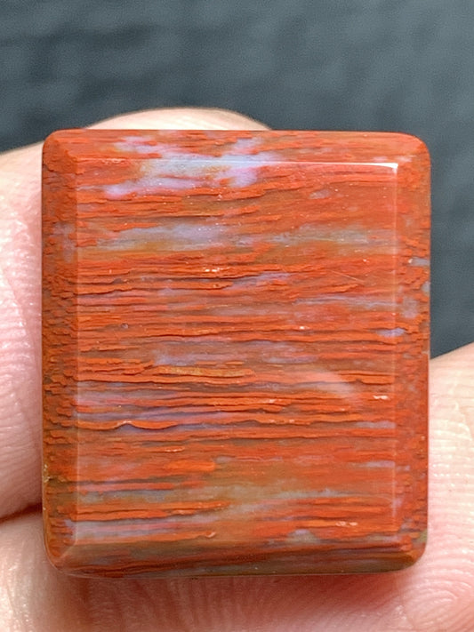 Petrified Palmwood Rectangle Cabochon 17.5x15x4.5mm