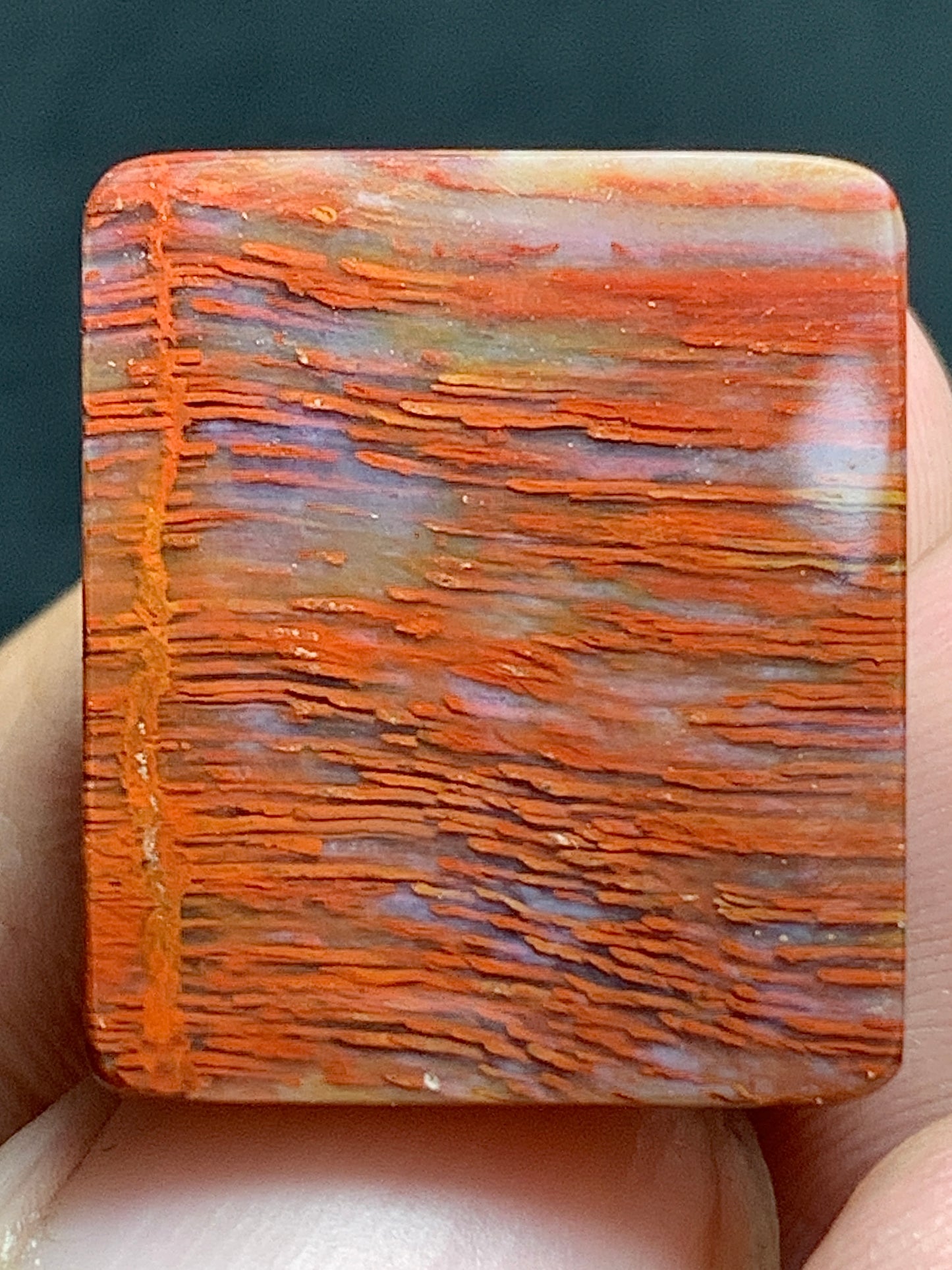 Petrified Palmwood Rectangle Cabochon 17.5x15x4.5mm