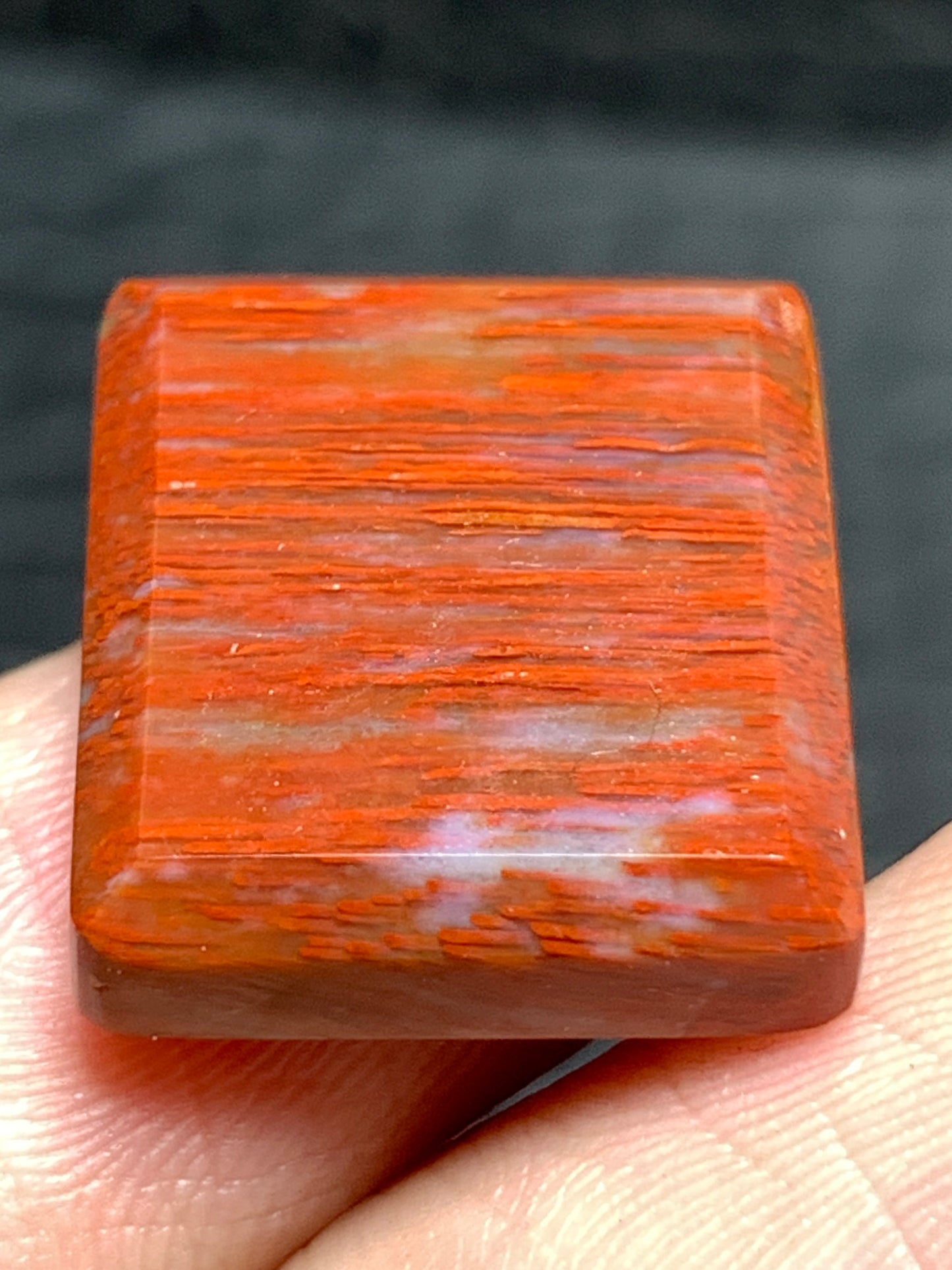 Petrified Palmwood Rectangle Cabochon 17.5x15x4.5mm