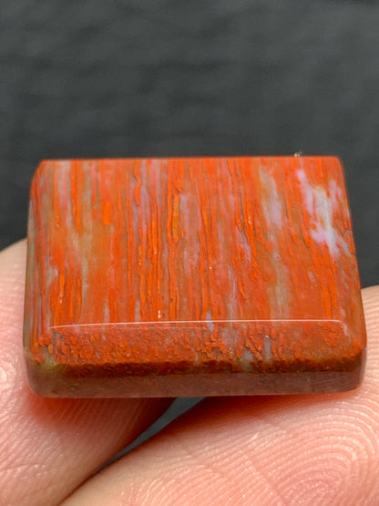 Petrified Palmwood Rectangle Cabochon 17.5x15x4.5mm