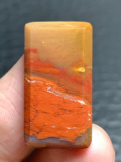 Petrified Palmwood Rectangle Cabochon 23.5x13x4mm