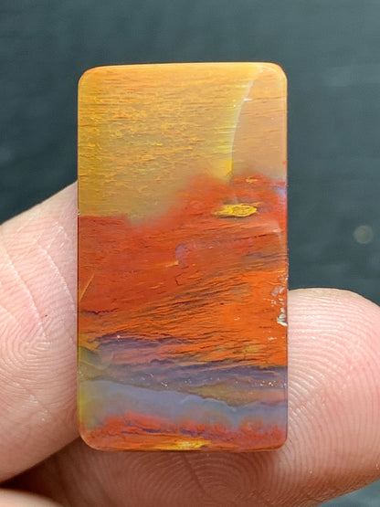 Petrified Palmwood Rectangle Cabochon 23.5x13x4mm