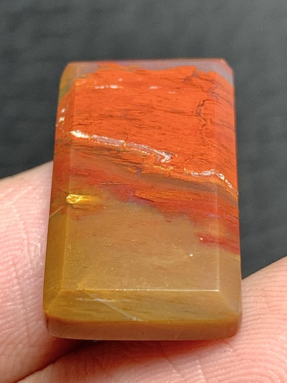 Petrified Palmwood Rectangle Cabochon 23.5x13x4mm