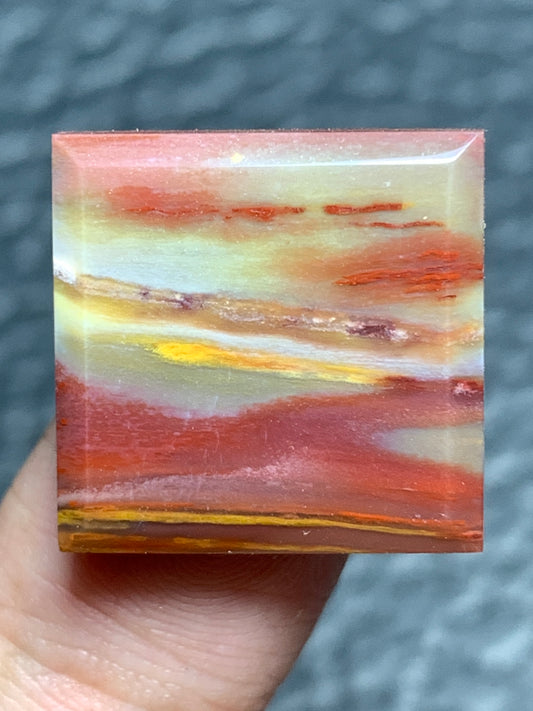 Petrified Palmwood Square Cabochon 18x18x4mm