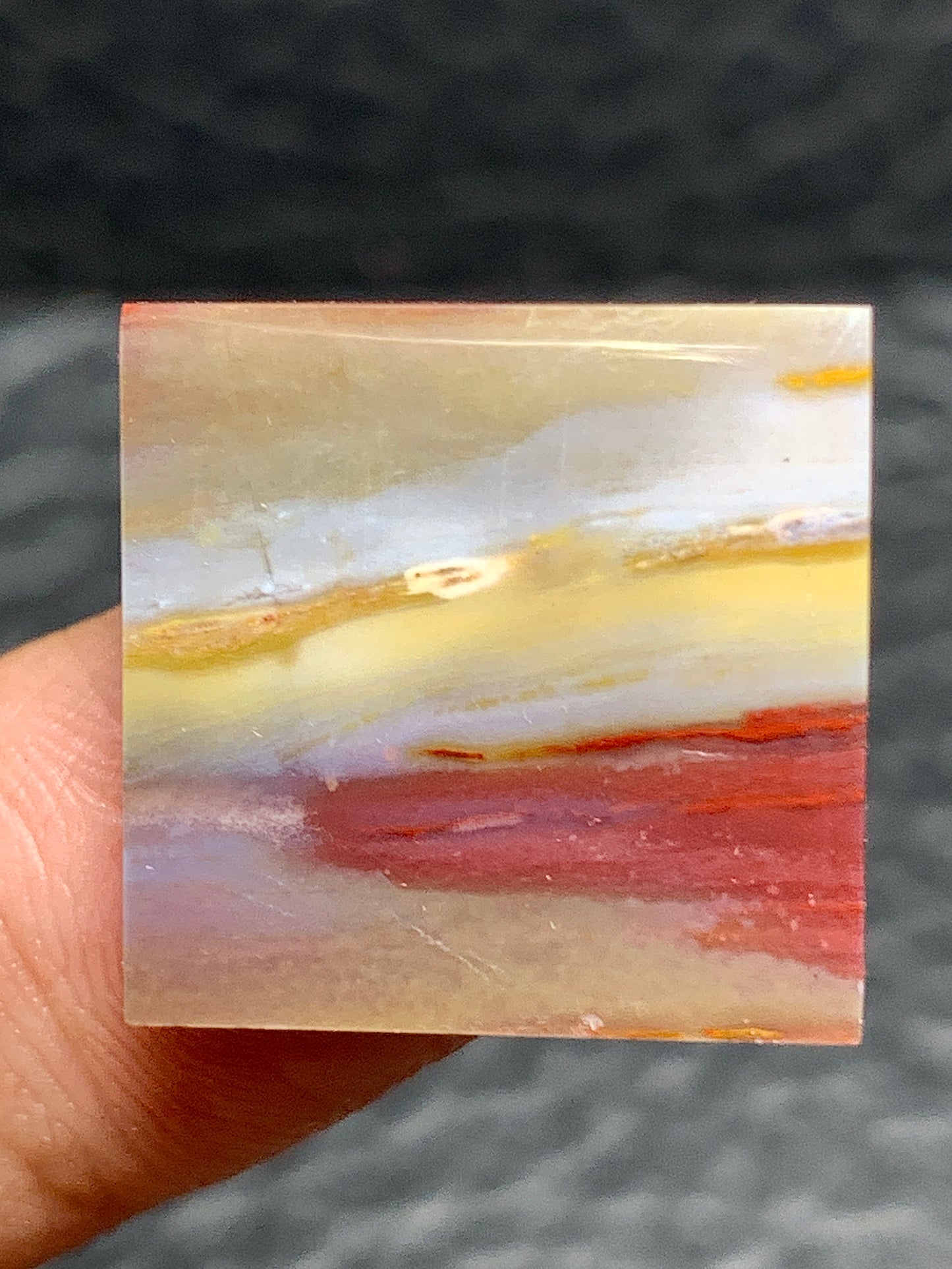 Petrified Palmwood Square Cabochon 18x18x4mm