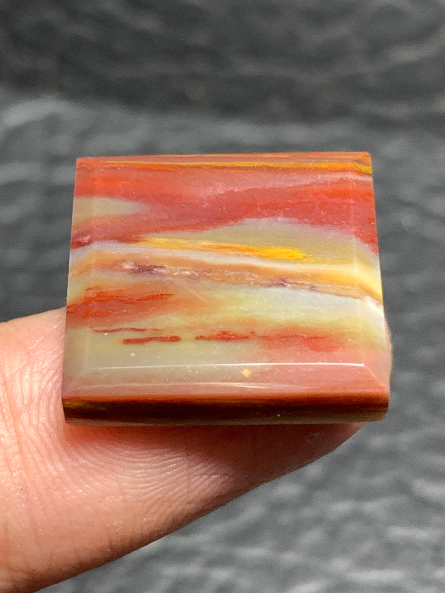 Petrified Palmwood Square Cabochon 18x18x4mm