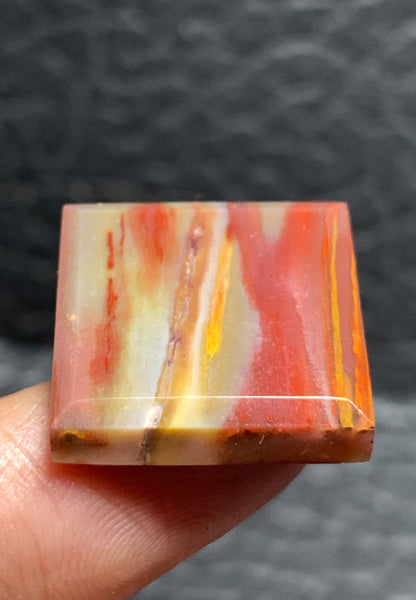 Petrified Palmwood Square Cabochon 18x18x4mm